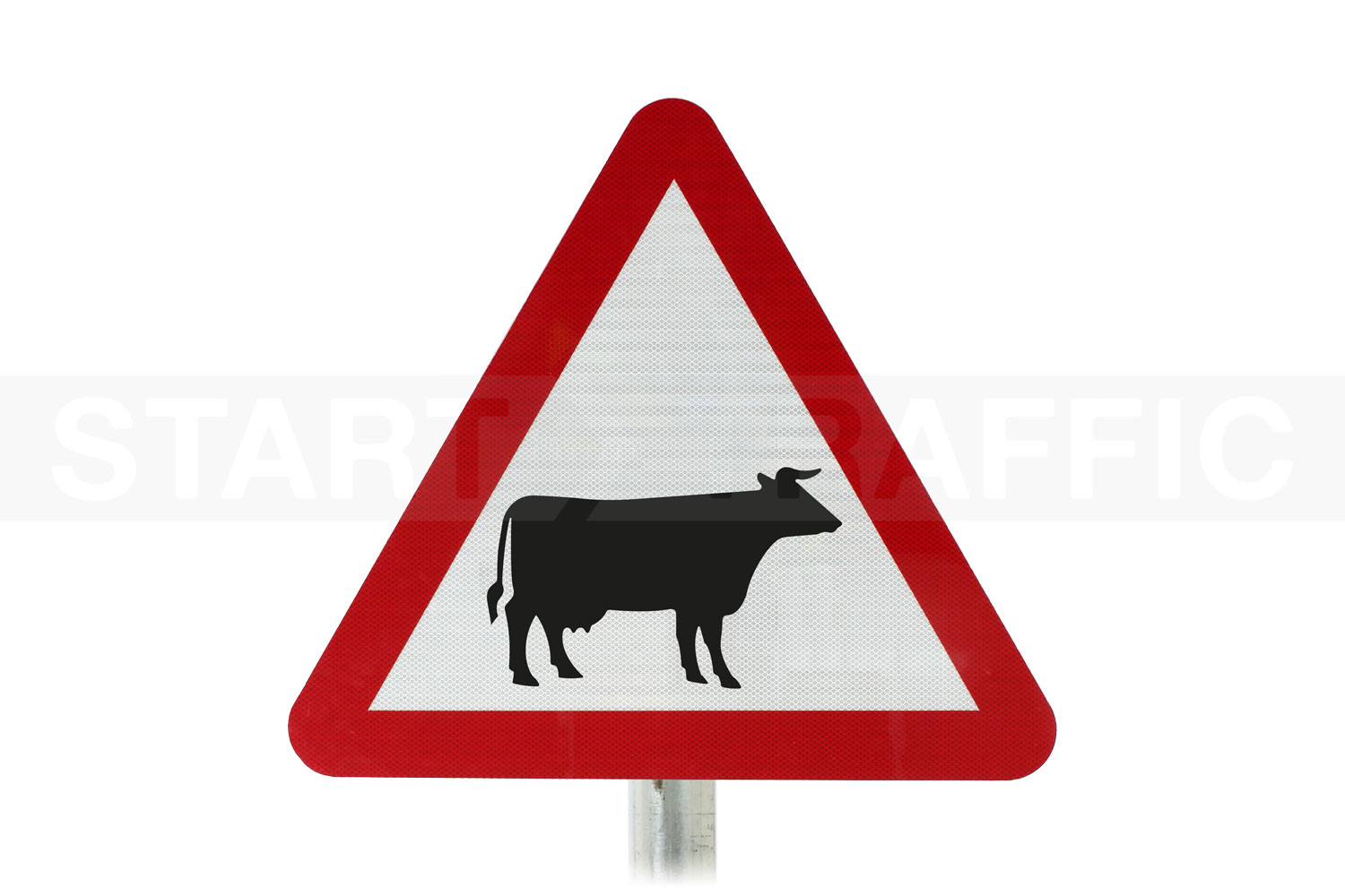 Cattle Likely In Road Post Mount Sign